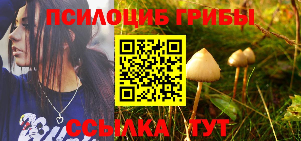 Псилоцибиновые грибы ЛСД  Вход с VPN  Светлоград 